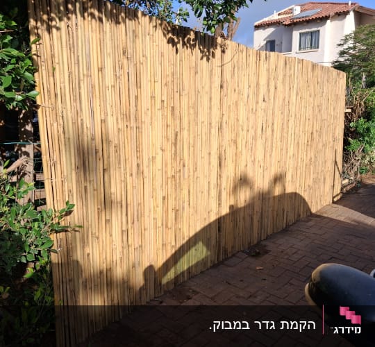 גדר במבוק ליד שביל מרוצף